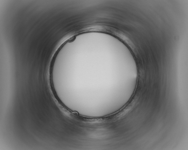 X0000111481426200908041113