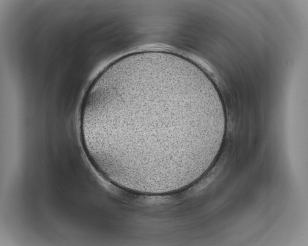 X0000111481430200908041113