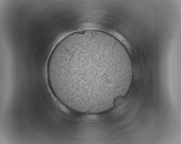 X0000111481431200908041113