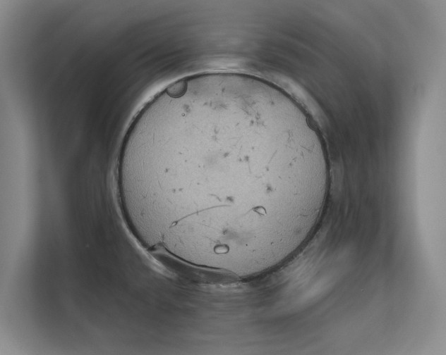 X0000111481432200908041113