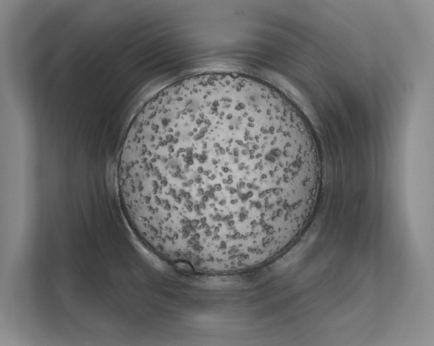 X0000111481433200908041113