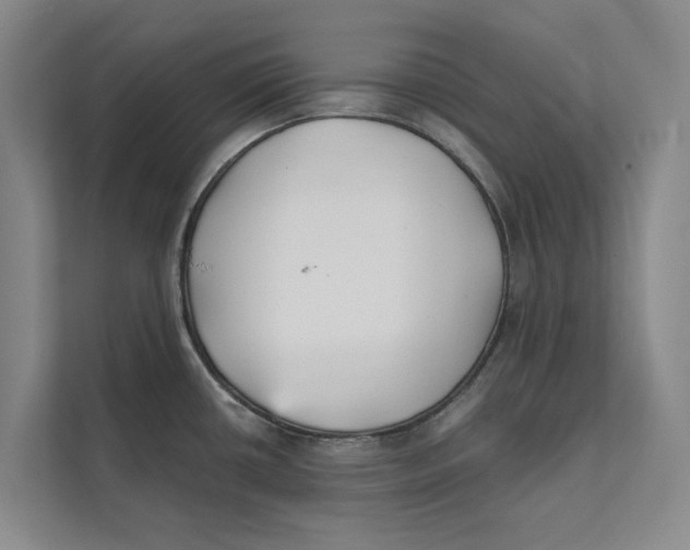 X0000111481434200908041113