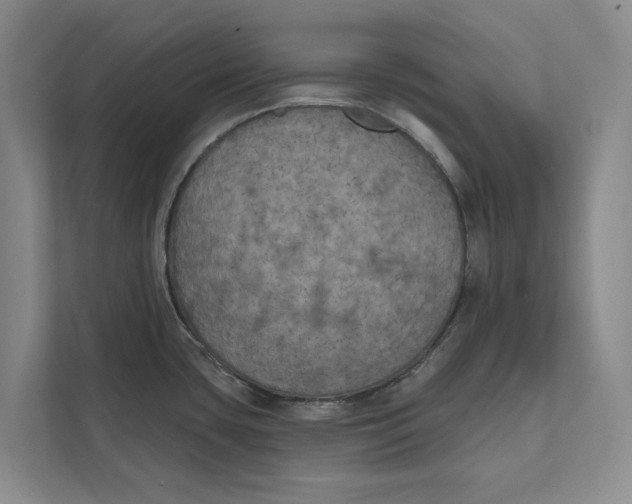 X0000111481435200908041113