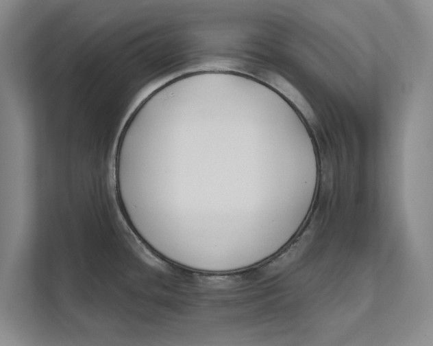 X0000111481436200908041113