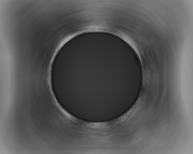 X0000111481437200908041113