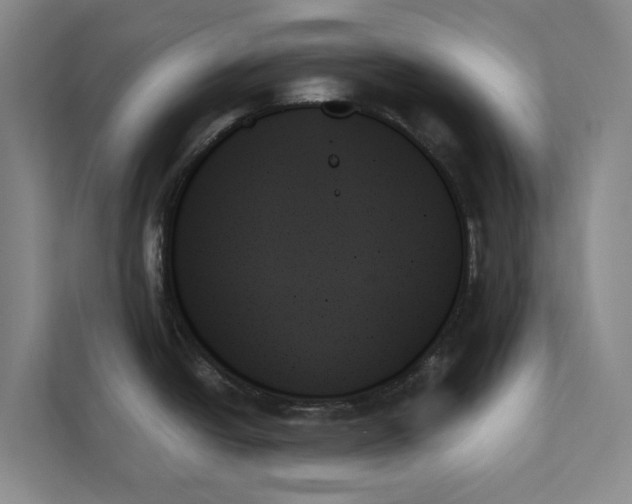 X0000111481438200908041113