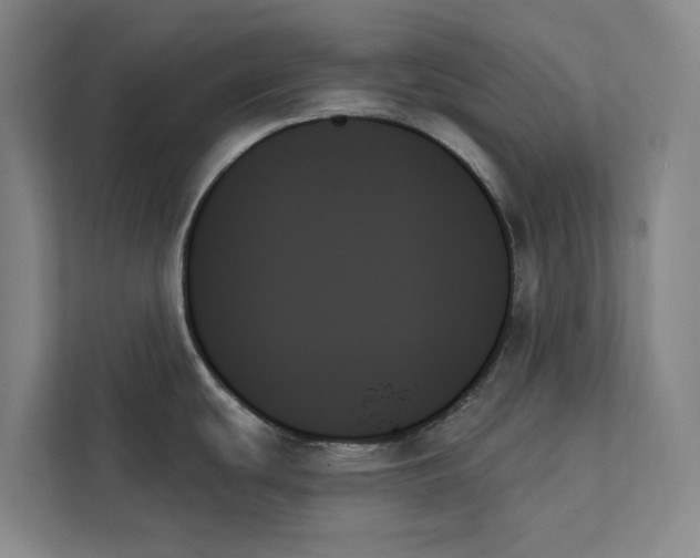 X0000111481439200908041113