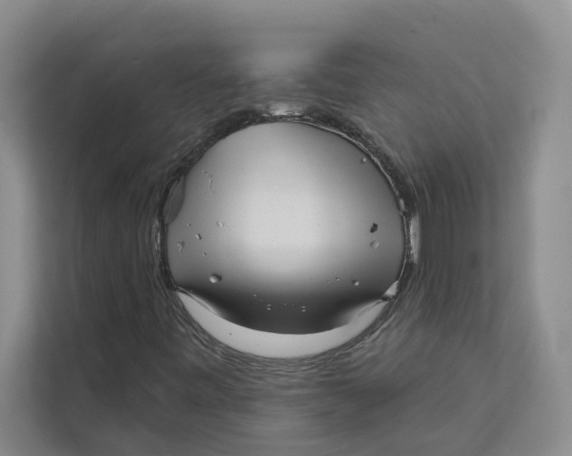 X0000111481443200908041112