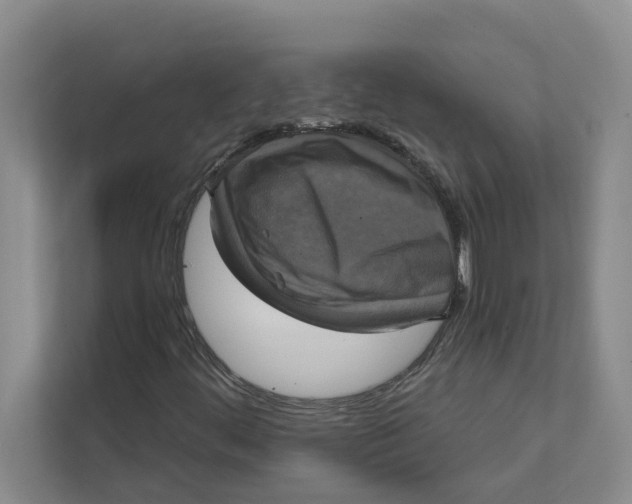 X0000111481444200908041112