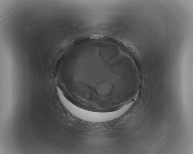 X0000111481445200908041112