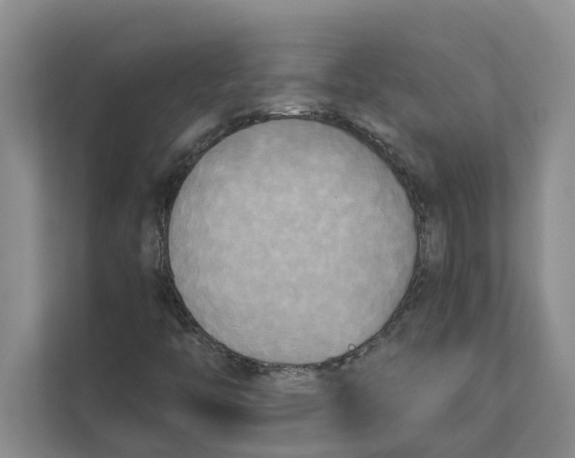 X0000111481446200908041112