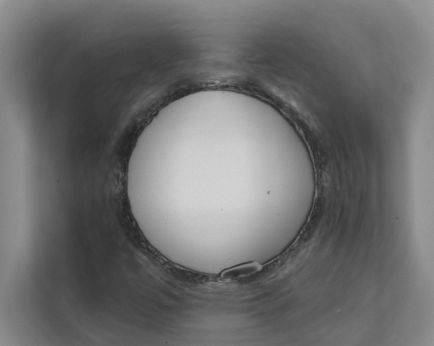 X0000111481447200908041112