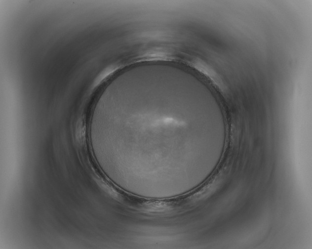 X0000111481450200908041112