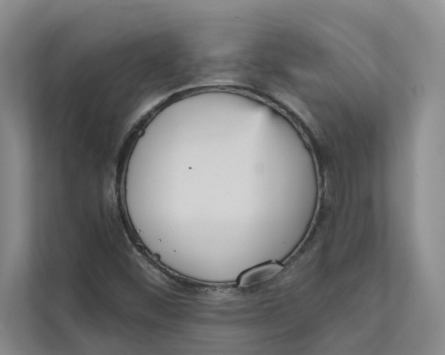 X0000111481452200908041112
