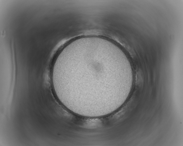 X0000111481454200908041112