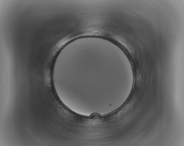 X0000111481455200908041112