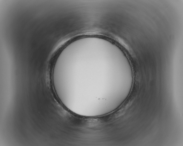 X0000111481456200908041112