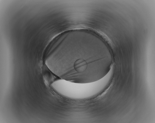 X0000111481457200908041112
