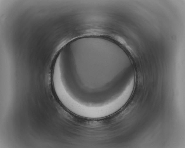 X0000111481459200908041112
