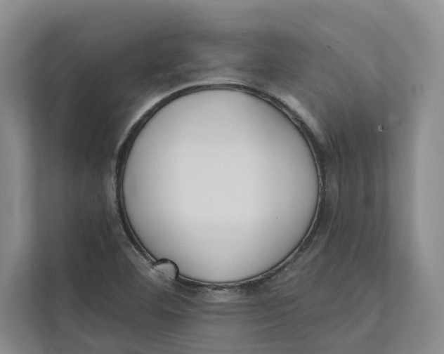 X0000111481460200908041112