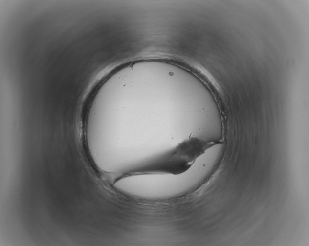 X0000111481461200908041112