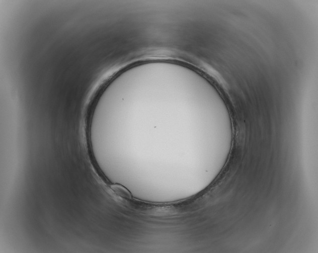 X0000111481464200908041112