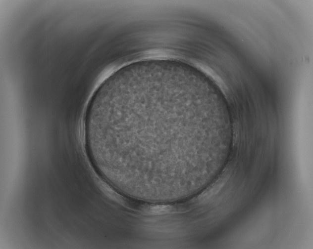 X0000111481467200908041112