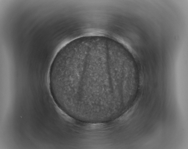 X0000111481471200908041112