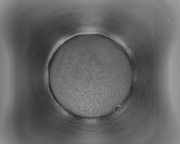 X0000111481472200908041112
