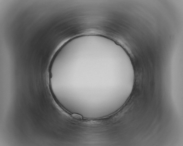 X0000111481476200908041112