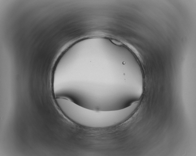 X0000111481477200908041112