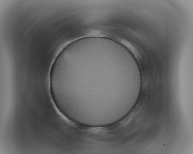 X0000111481479200908041112