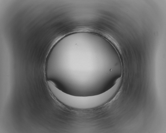 X0000111481481200908041112