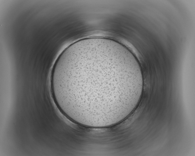 X0000111481483200908041112
