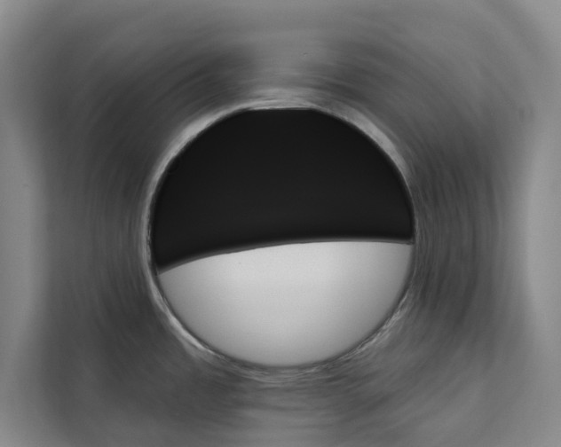 X0000111481485200908041112