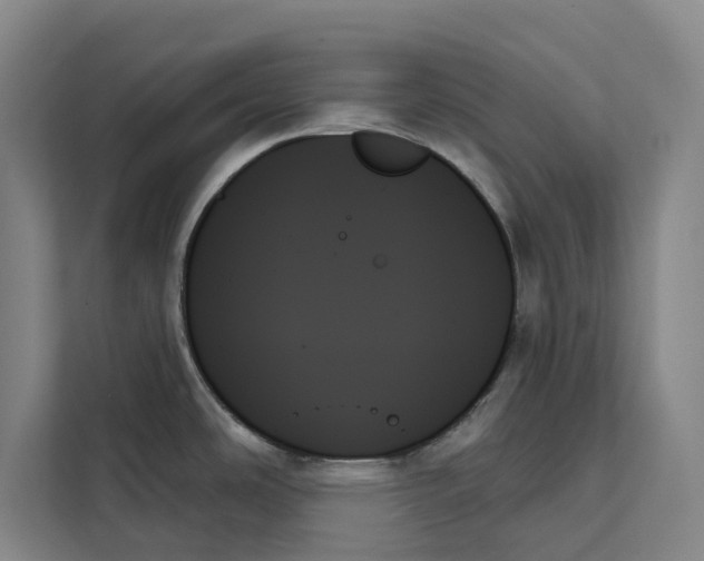X0000111481486200908041112
