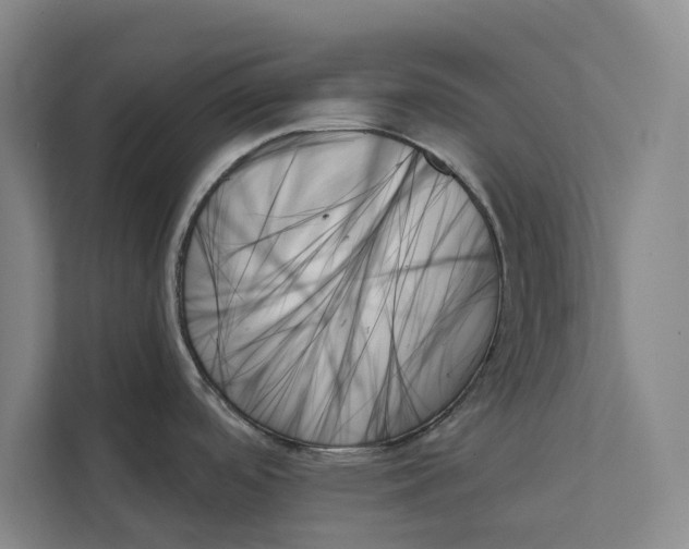 X0000111481488200908041112