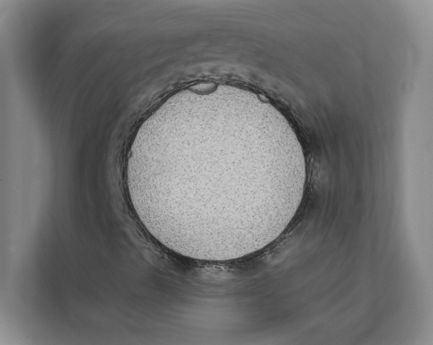 X0000111481489200908041111