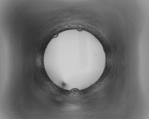 X0000111481490200908041111