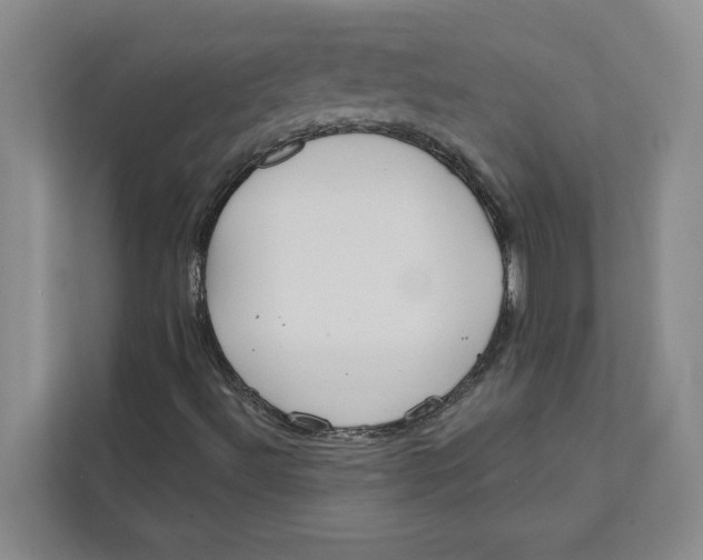 X0000111481492200908041111