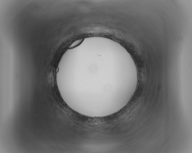 X0000111481493200908041111
