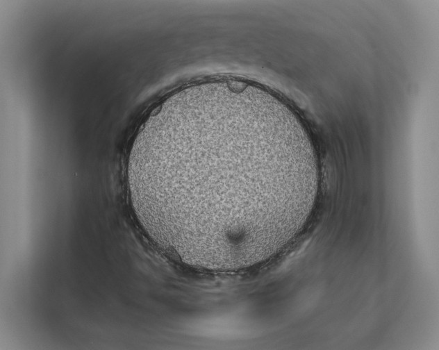 X0000111481494200908041111