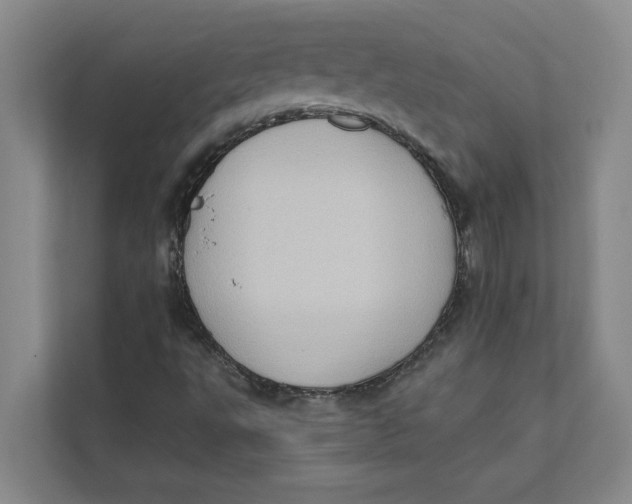 X0000111481495200908041111