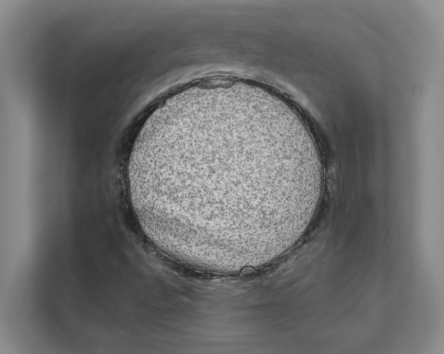 X0000111481496200908041111