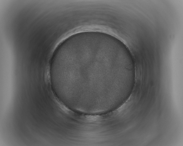 X0000111481498200908041111