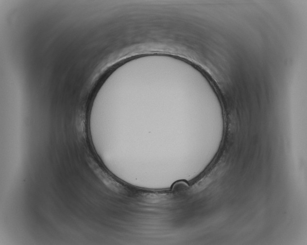 X0000111481499200908041111