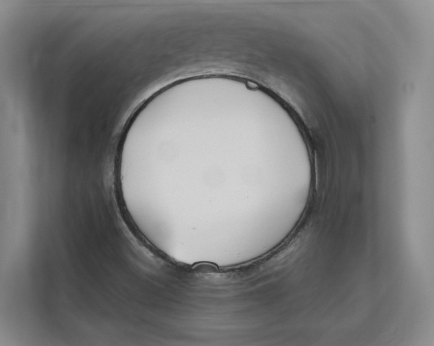 X0000111481500200908041111