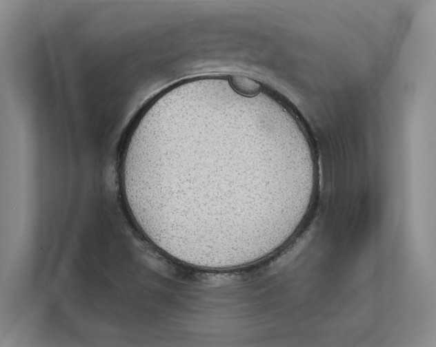 X0000111481501200908041111