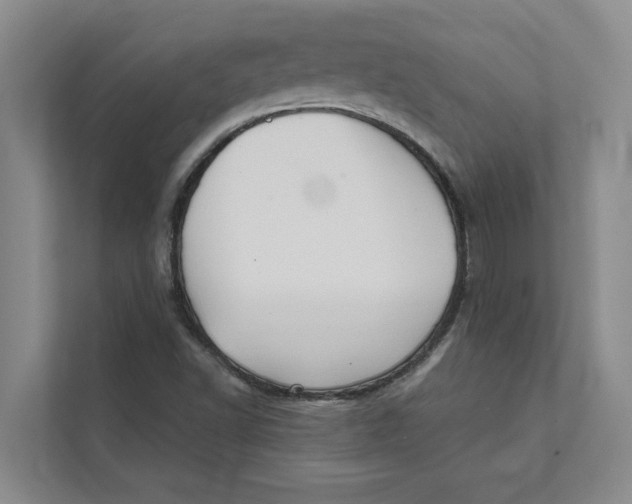 X0000111481502200908041111