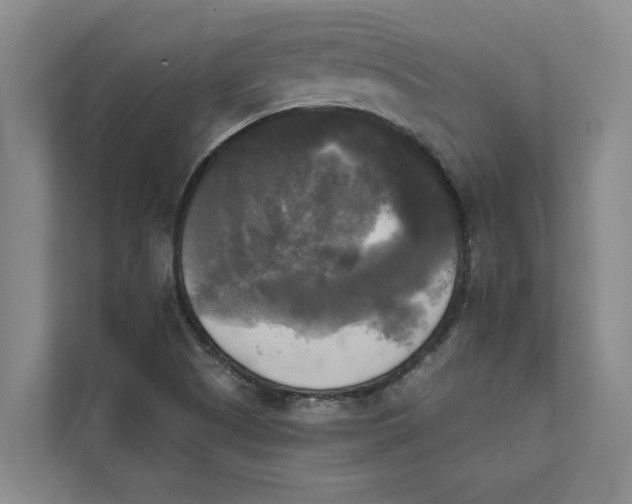 X0000111481505200908041111